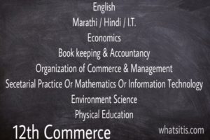 commerce subjects in class 12